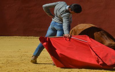 TENTADEROS