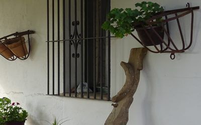 VIVIR EN LA GANADERÍA