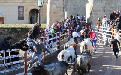 “Carnaval del Toro” 2017. Ciudad Rodrigo (Salamanca). Del 24 al 28 de febrero de 2017.