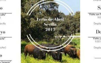 Programa «Feria de Sevilla 2017»