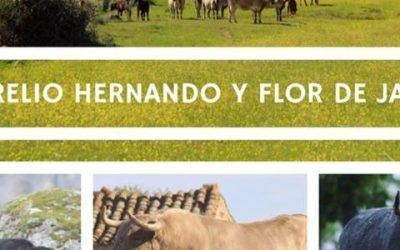 MADRID – 21 mayo 2017 – «Variedad de Encastes». Ganaderías»Aurelio Hernando» y «Flor de Jara».