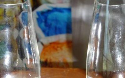 Visita Ganadera con Degustación de «Vinos de Jerez» y Toreo de Salón.