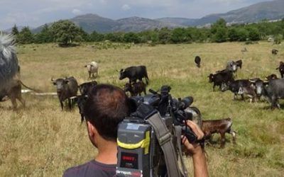 REPORTAJES PARA TELEVISIÓN