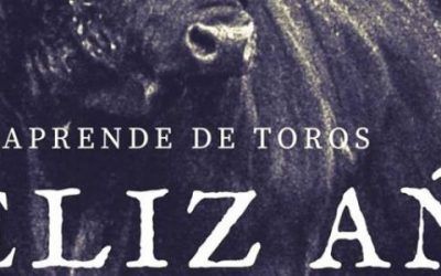 ¡¡FELIZ AÑO 2018!!