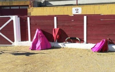 TOREO DE SALÓN: UNA HISTORIA QUE NOS HA LLEGADO AL ALMA.