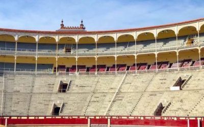 VISITA «LAS VENTAS» + «GANADERÍA» EN MADRID