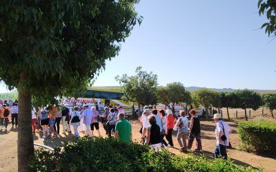 GRUPOS DE PEÑAS Y ASOCIACIONES TAURINAS