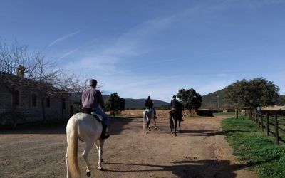 A CABALLO POR TOLEDO…DESDE BRASIL…