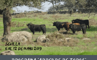 «FERIA DE ABRIL» DE SEVILLA 2019