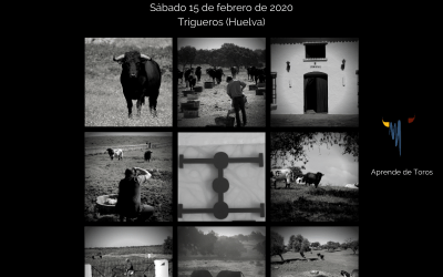 ¡NUESTRO TALLER DE FOTOGRAFÍA EN «6 TOROS 6»!!
