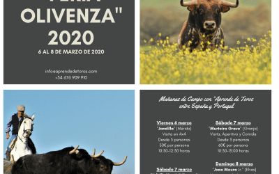 «FERIA DE OLIVENZA 2020»