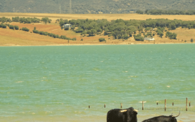 ¡LISTOS PARA EL VERANO 2019!