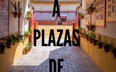 VISITAS GUIADAS EN PLAZAS DE TOROS