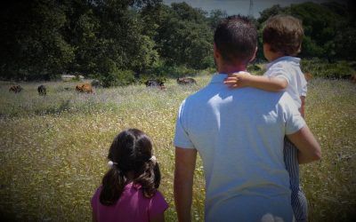 ¡YA ES POSIBLE PISAR EL CAMPO BRAVO…!