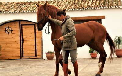 VISITAS CON LEA VICENS