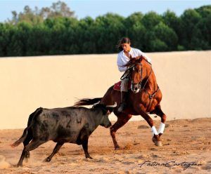 La Feria de Abril 2025 con experiencias únicas: desembarque de toros y visita a cantera de albero