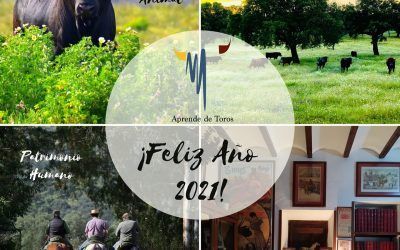 ¡FELIZ AÑO 2021 DESDE «APRENDE DE TOROS»!