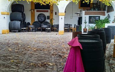 EL TORO Y EL VINO DE JEREZ