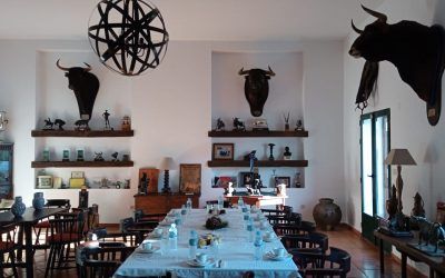 FAM TRIP con APRENDE DE TOROS
