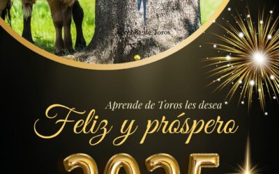 ¡Feliz año 2025!