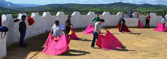 Toreo de Salón en los tentaderos