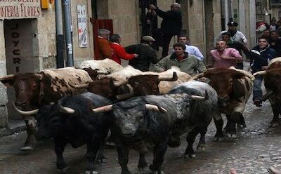 Los Festejos Populares Taurinos Más Importantes de España