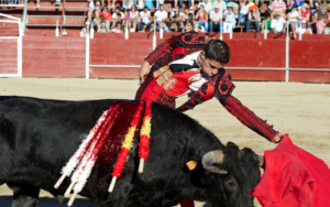 Torero en faena en plaza de Toros